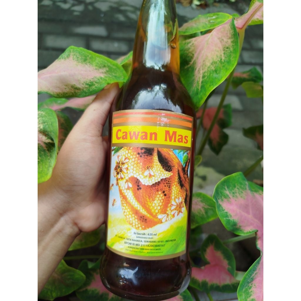 Madu Cawan Mas jumbo 600 ml ASLI exp lama free bublewrap + kardus