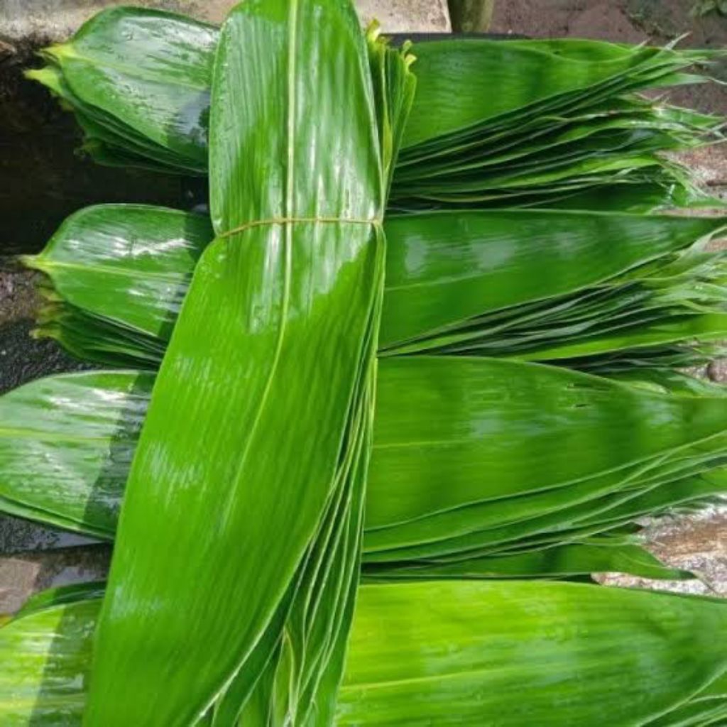 Daun bambu daun bambu bakcang daun bambu segar
