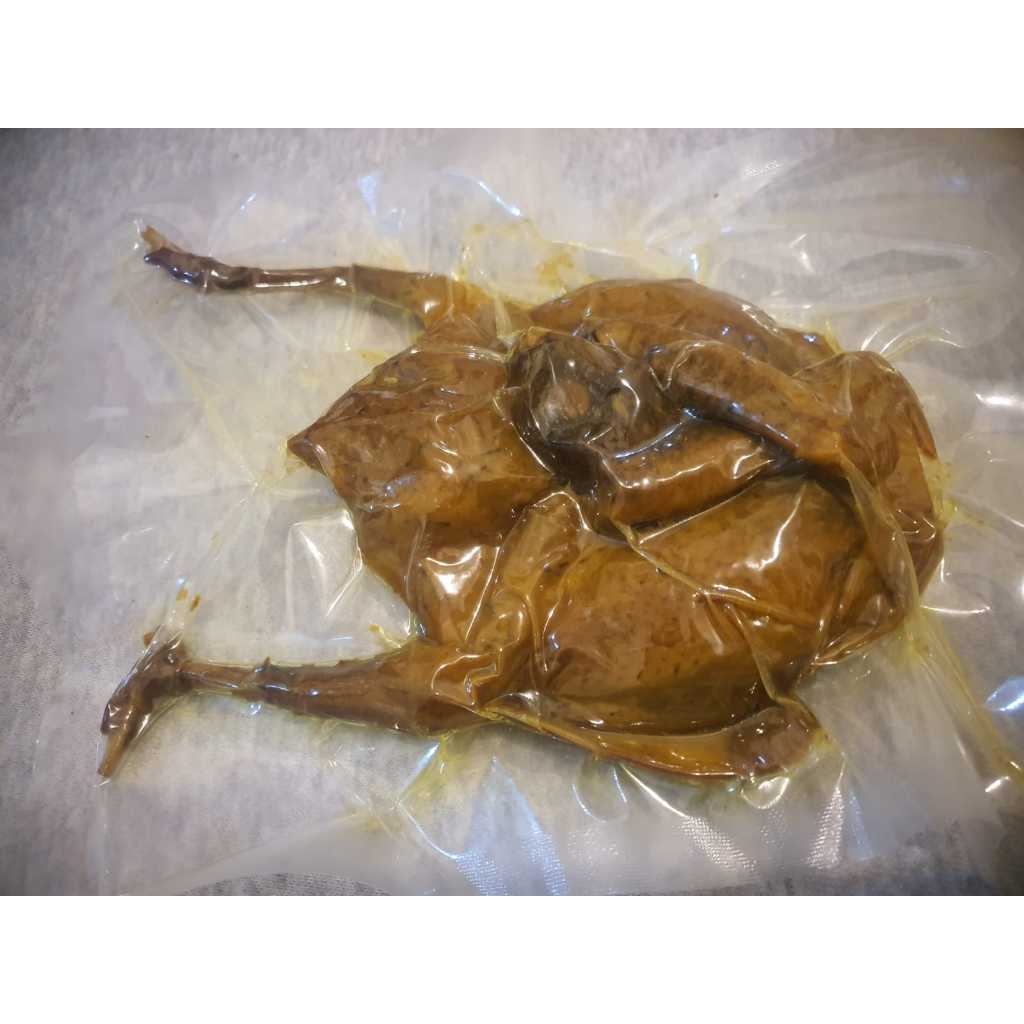 Burung Dara Merpati Ungkep