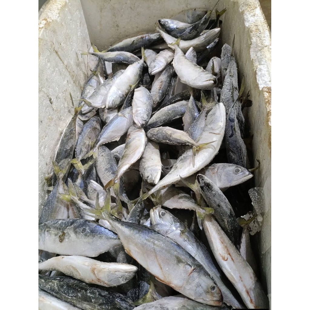 KEMBUNG BANJAR
