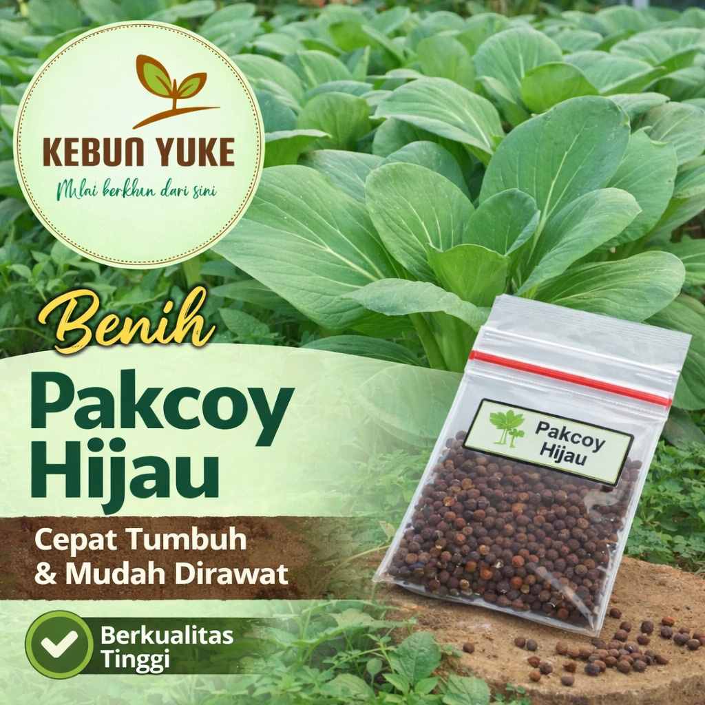Bibit Pakcoy Hijau Berkualitas ±1.750 biji – Tumbuh Subur Anti Gagal