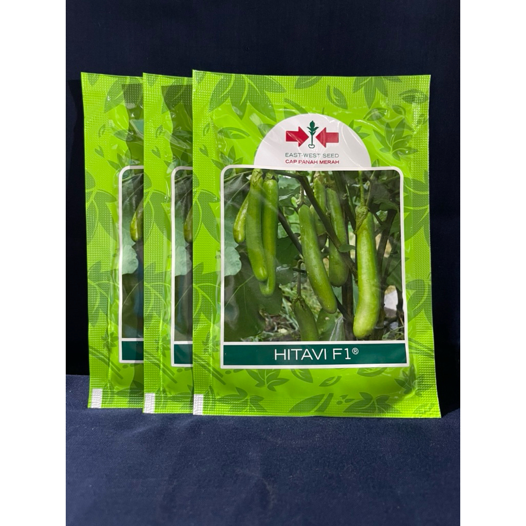 Benih Terong Hijau HITAVI Cap Panah Merah