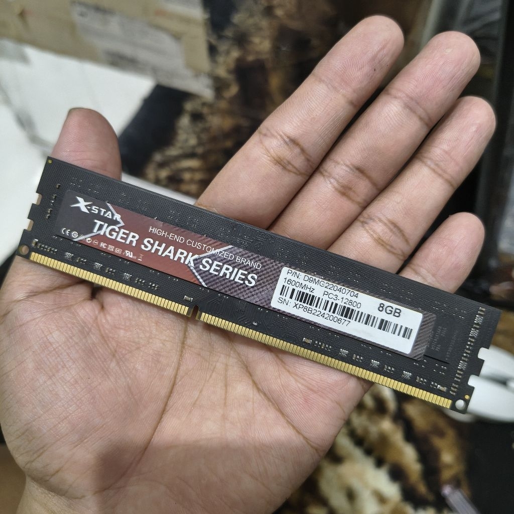 RAM PC XStar 8GB DDR3 PC3 12800 1600 MHz Normal