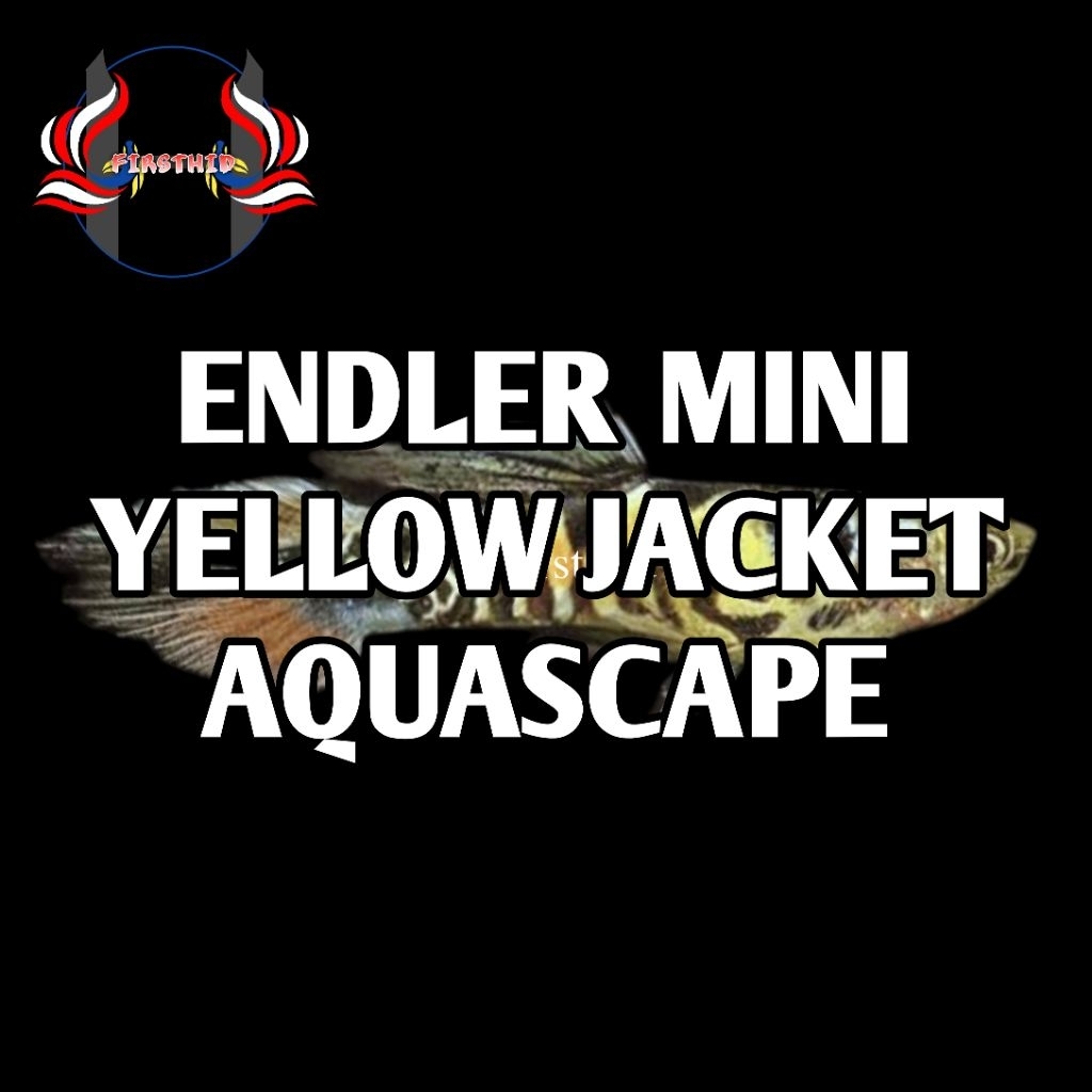 (1 P) Aksesoris Akuarium ENDLER Tiger Yellow Jacket penghias Ruangan kolam