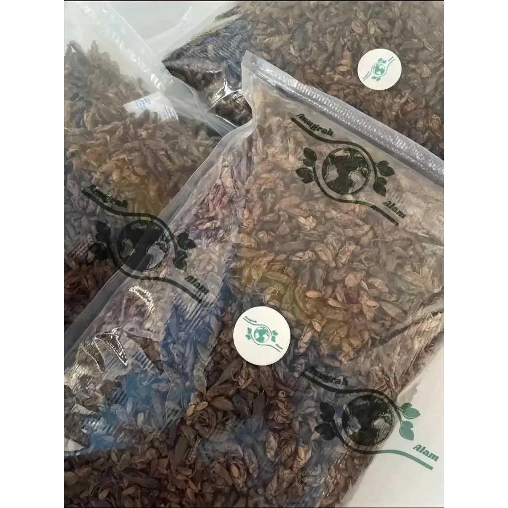 Jangkrik Kering 1kg Pakan Hewan Burung, Ikan, Burung, Reptil dll