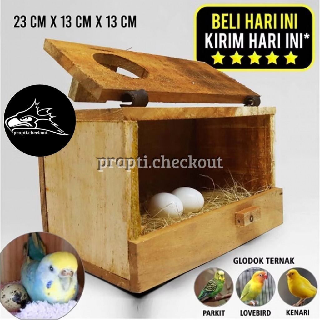 Glodok Burung Parkit kayu Mahoni Glodok Ternak Burung