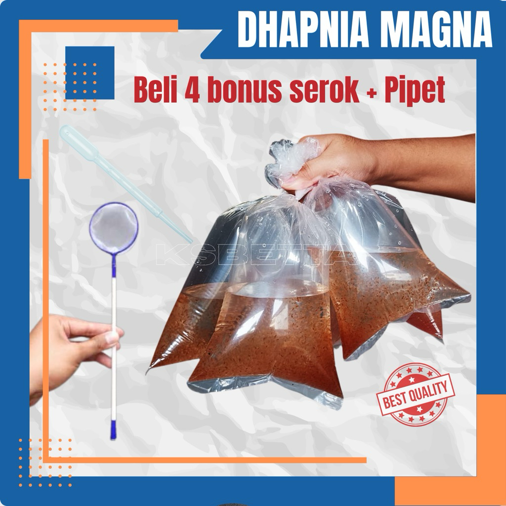 starter kutu air DAPHNIA MAGNA
