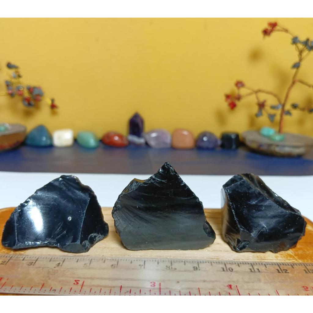 Natural Black Obsidian Rough (21)