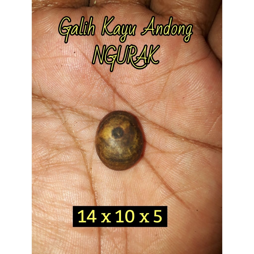 Mata Cincin Bertuah Galih Kayu ANDONG