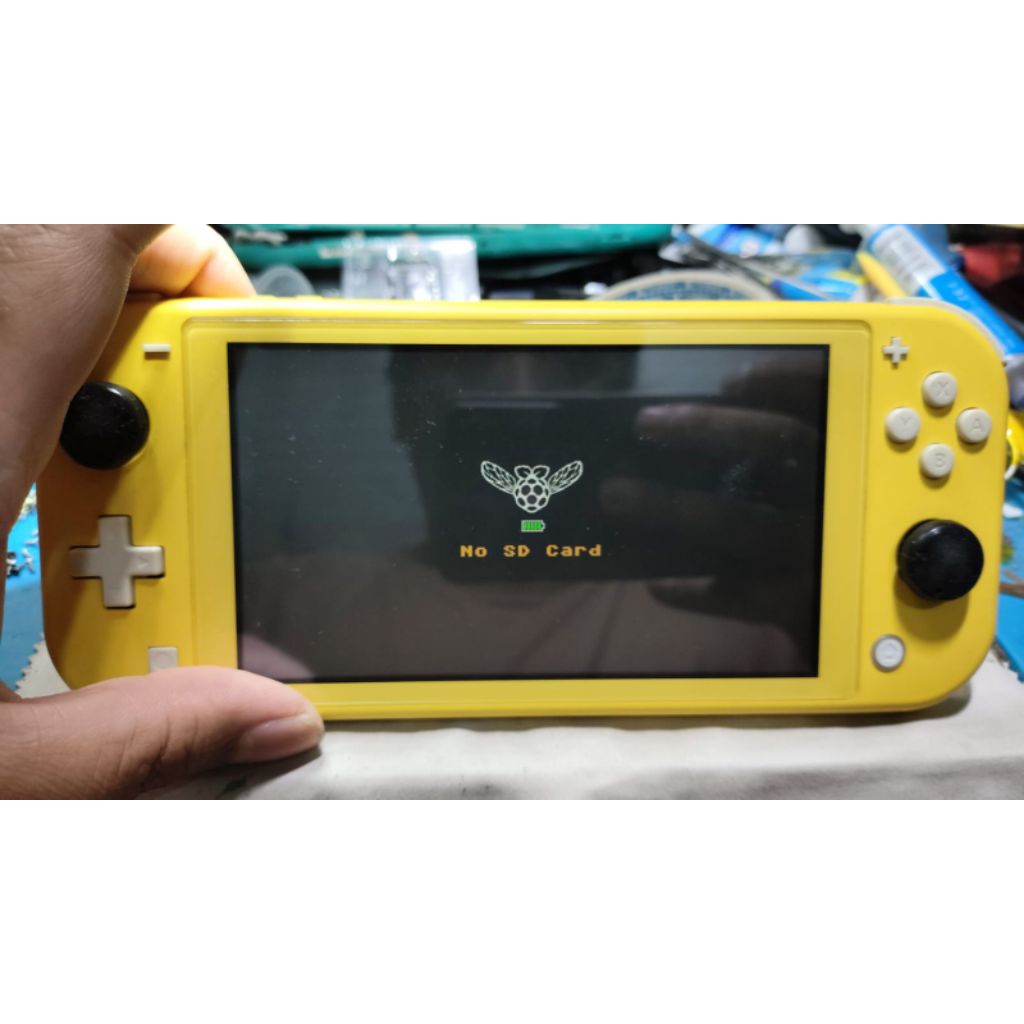Jasa CFW dan Ganti LCD Nintendo Switch