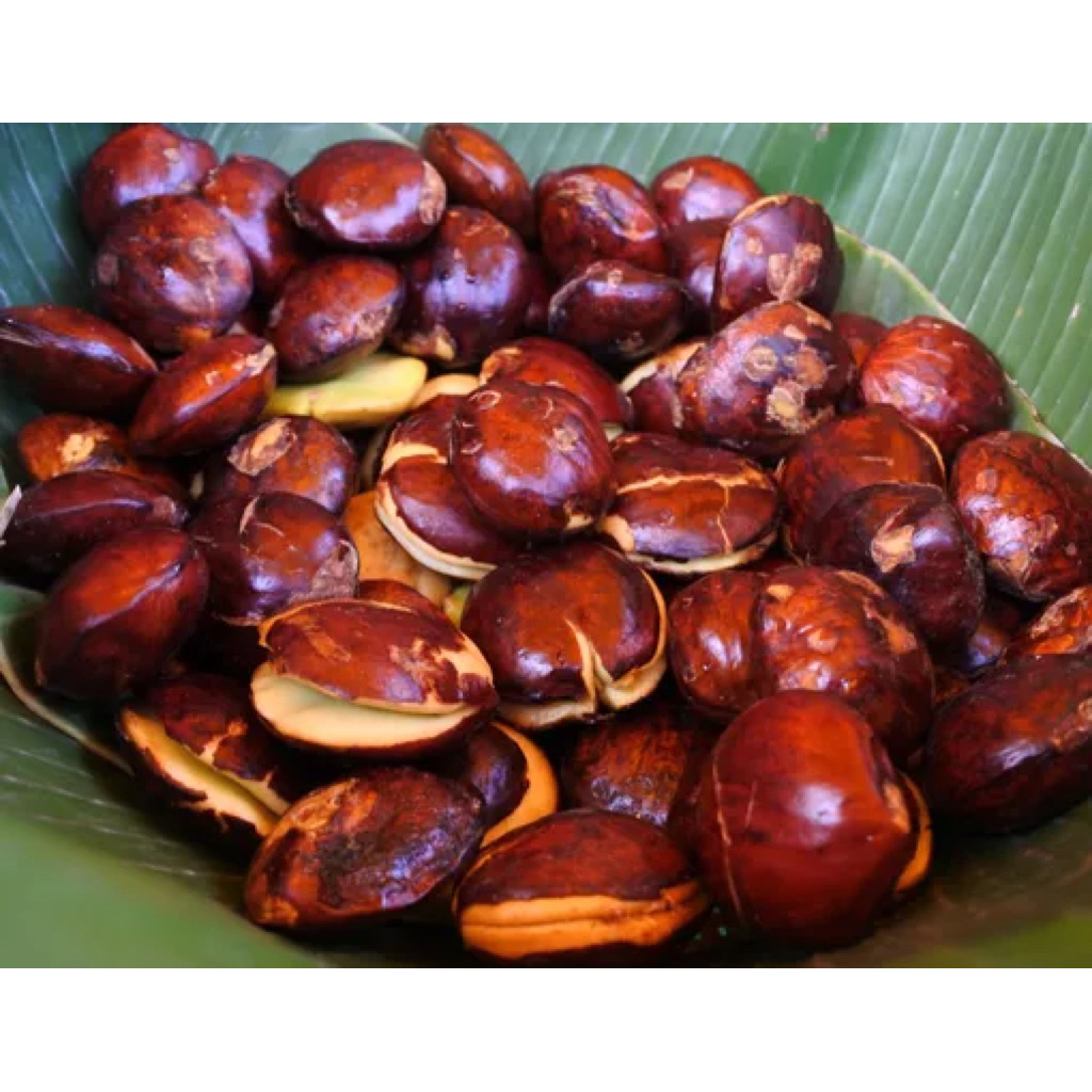 Jengkol Tua Mentah Segar 1 kg - Pulen, Berkualitas, Siap Masak