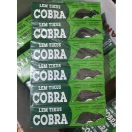 Lem Tikus Cobra 1 Lusin - Lengket Super, Tidak Berbau, Aman untuk Keluarga