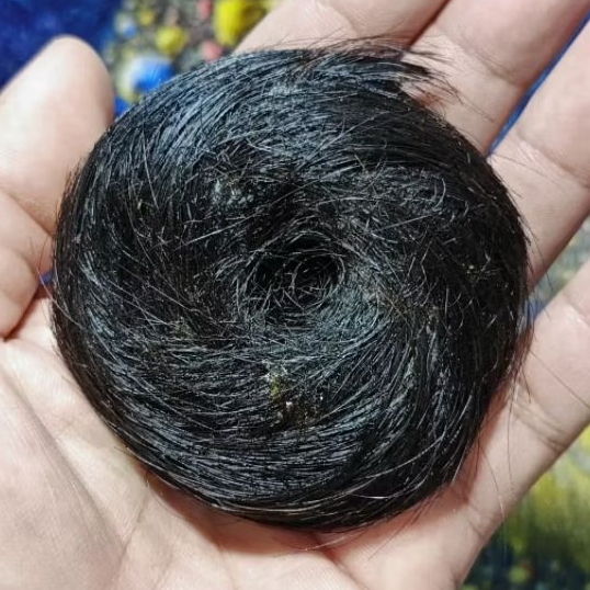 RANTAI BABI ALAM SEMESTA