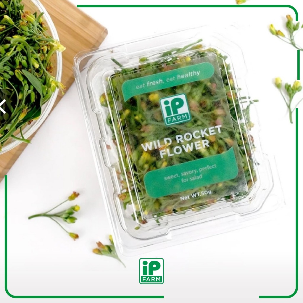 IP Farm Fresh Wild Rocket Flower | Sayur Segar