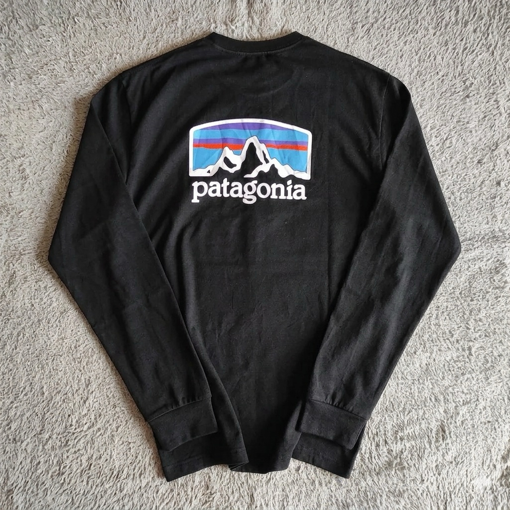 Kaos Lengan Panjang Patagonia Fitz Roy Horizons Responsibili-Tee