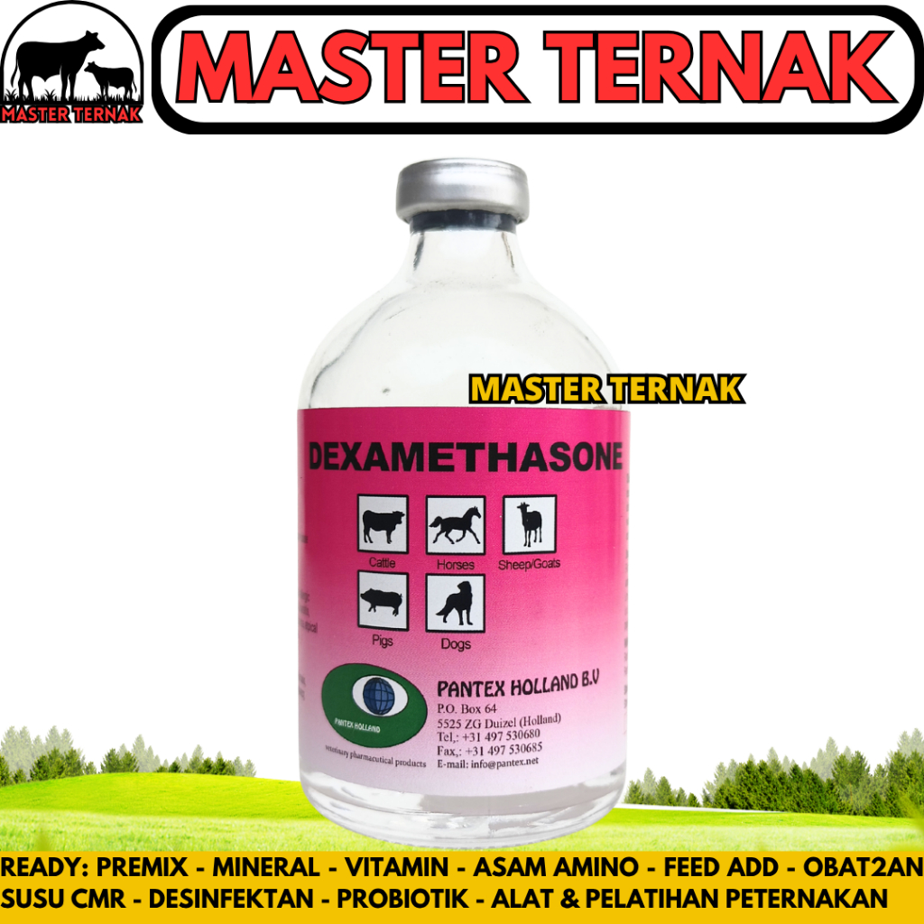 PANTEX DEXAMETHASONE 100 ML - Obat Hewan Anti Radang Anti Inflamasi Ternak Sapi Kambing Anjing