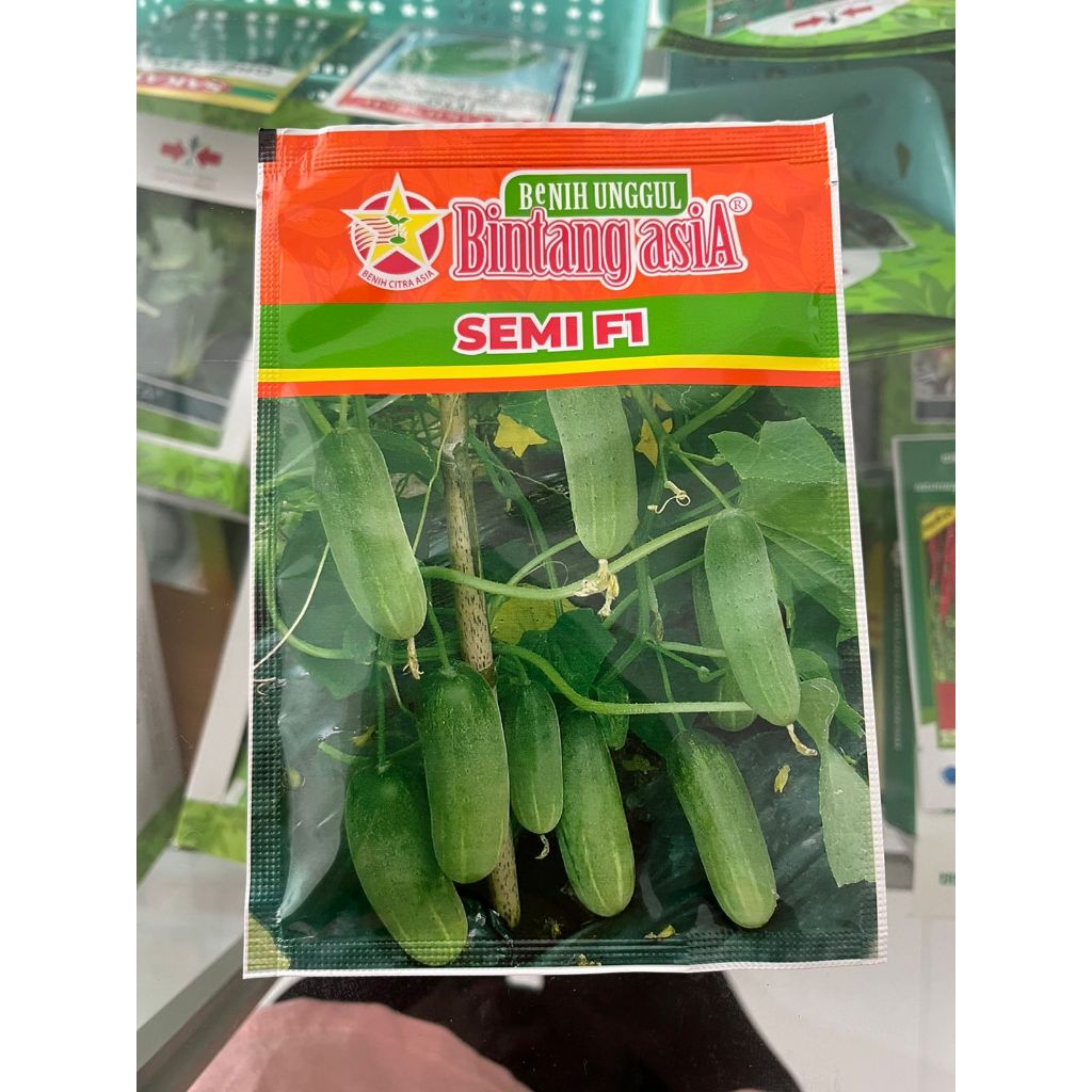 Benih Timun Semi F1 20 gram Bintang Asia / Timun Baby