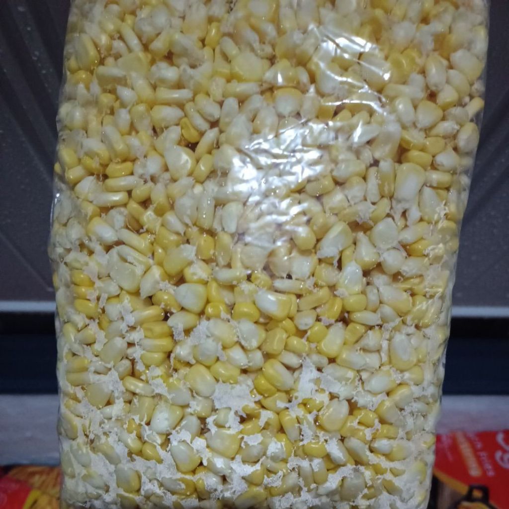 jasuke jagung manis pipil kemasan 1kg