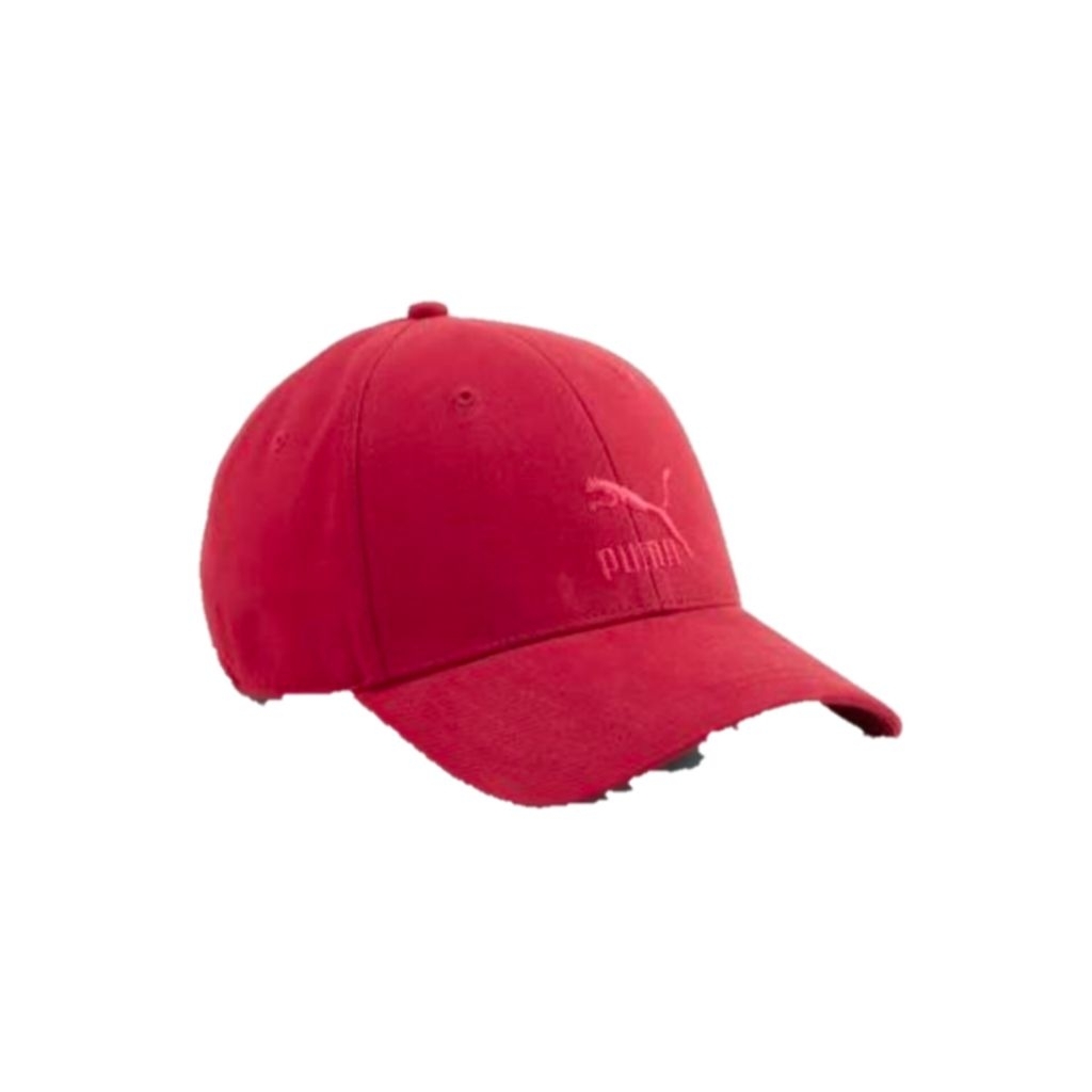 topi puma