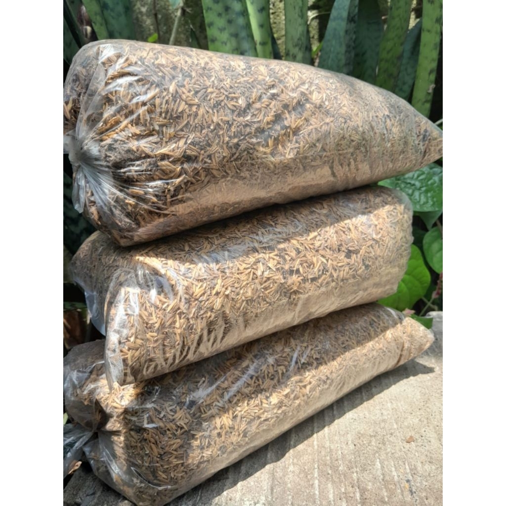 pupuk kandang kotoran ayam