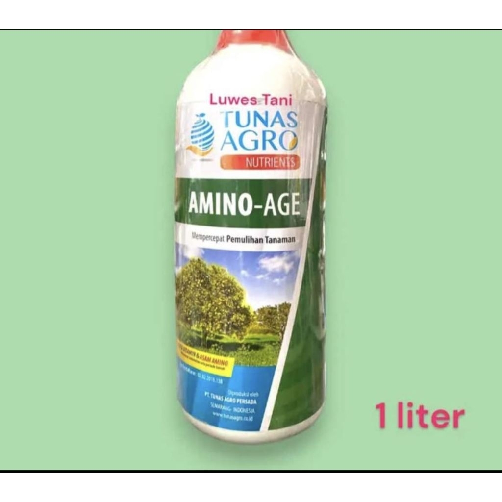 AMINO-AGE