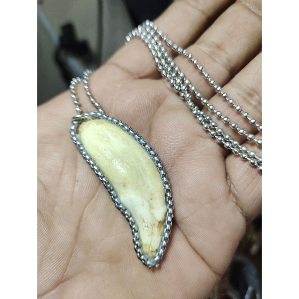 Kalung Rantai Retro Taring Beruang