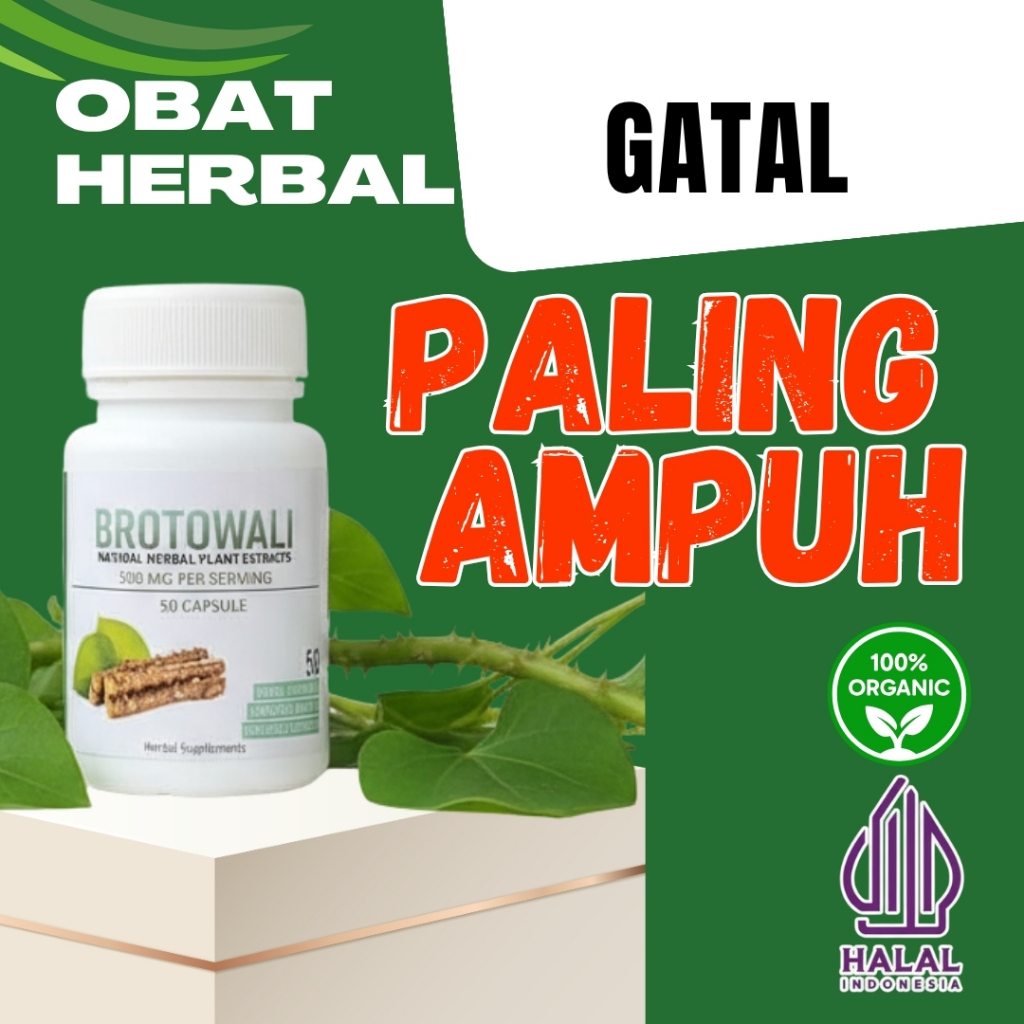 Kapsul Herbal Brotowali [ PREMIUM ] - Obat Herbal Paling Ampuh Atasi Gatal Dikulit - Isi 50 Kapsul