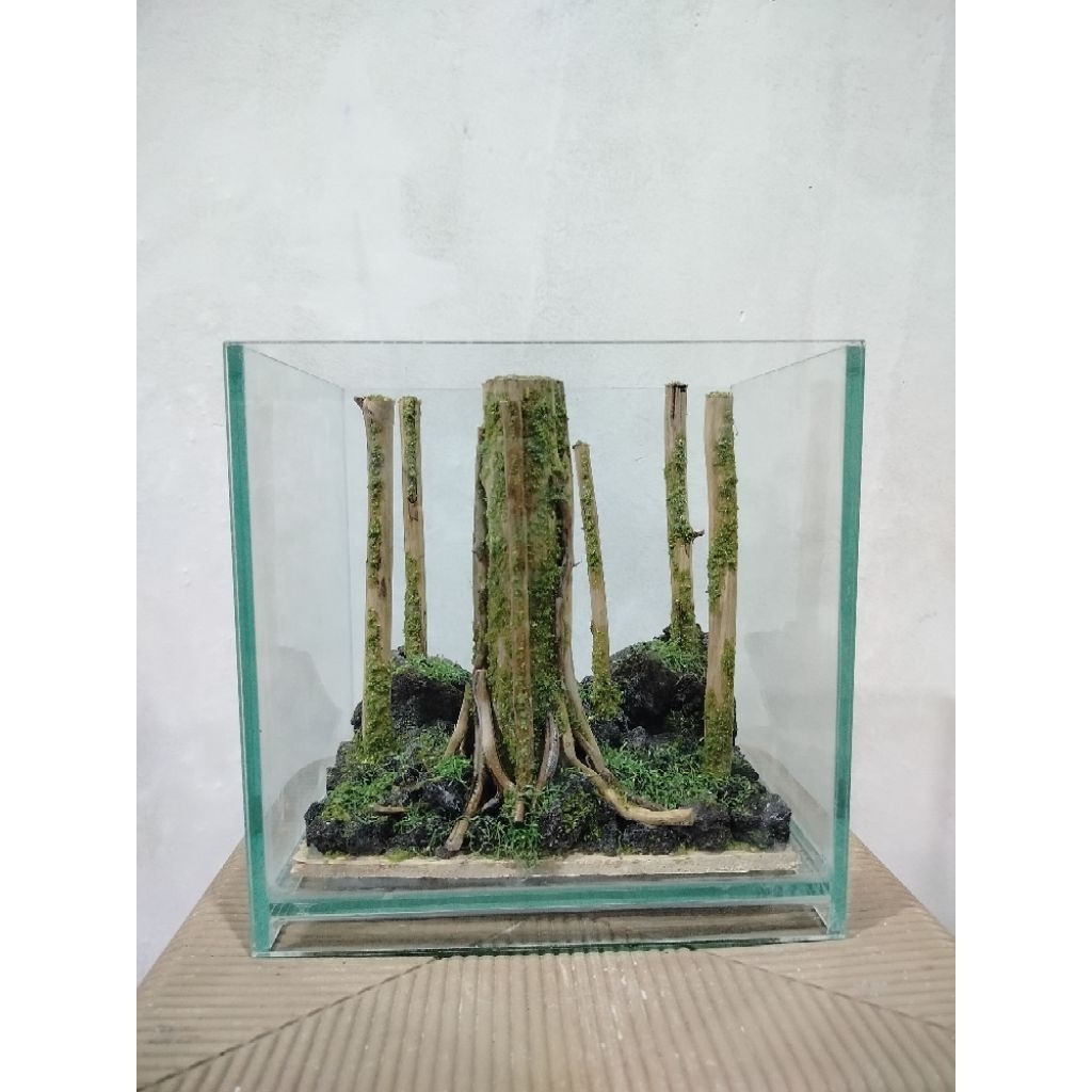 Aquascape jungle/Aquascape Hutan/Aquascape sintetis