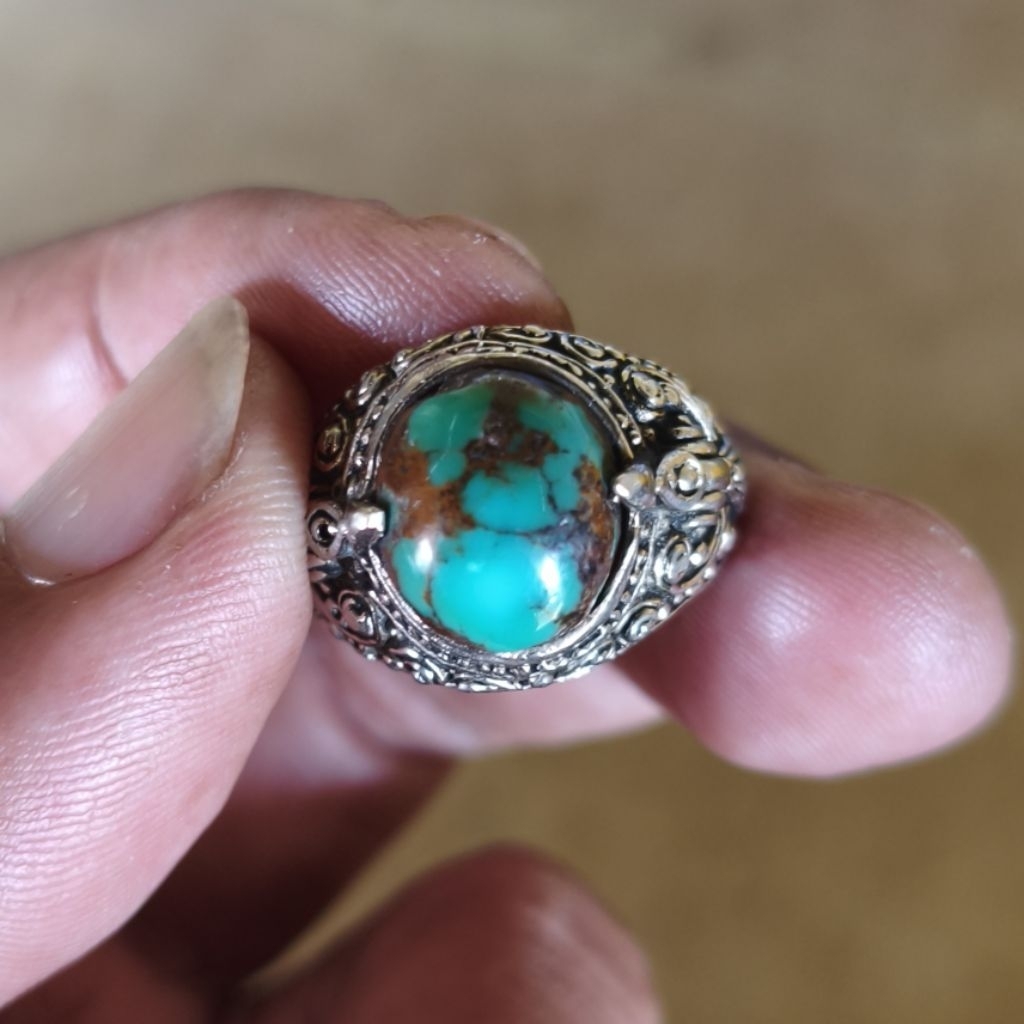 Cincin Pirus Persia Minion Karakter
