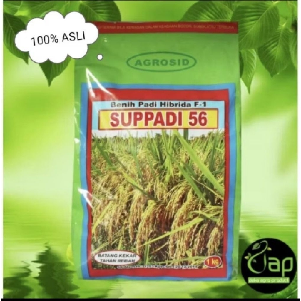(1KG) BENIH PADI SUPADI 56 ORIGINAL