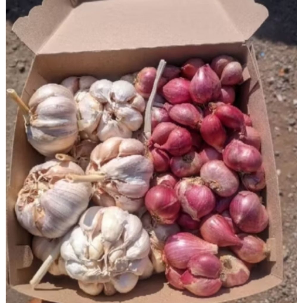 bawang merah 1kg + bawang putih 1kg, paket hemat lebih murah (bawang merah 1kg + bawang putih 1kg)