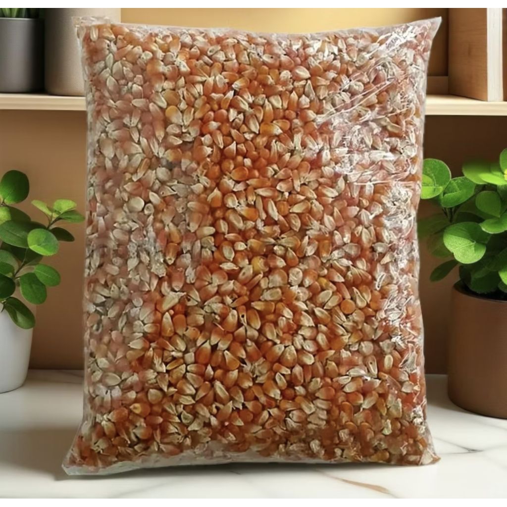 Jagung Pipil Kering 1kg-500gr Pakan Ayam / Pakan Ternak Berkualitas