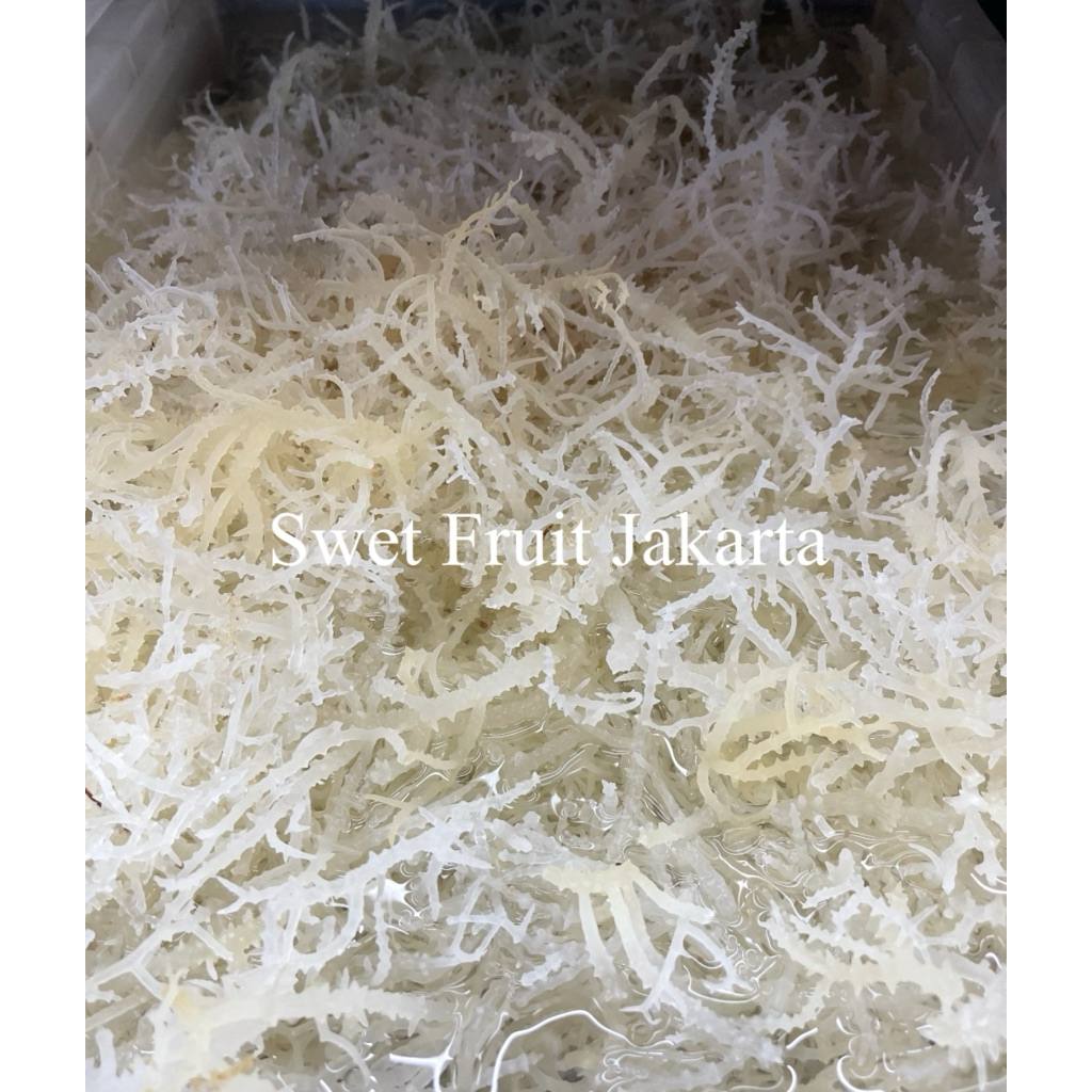 Rumput Laut Basah Fresh 500gr / Rumput Laut Berih Original