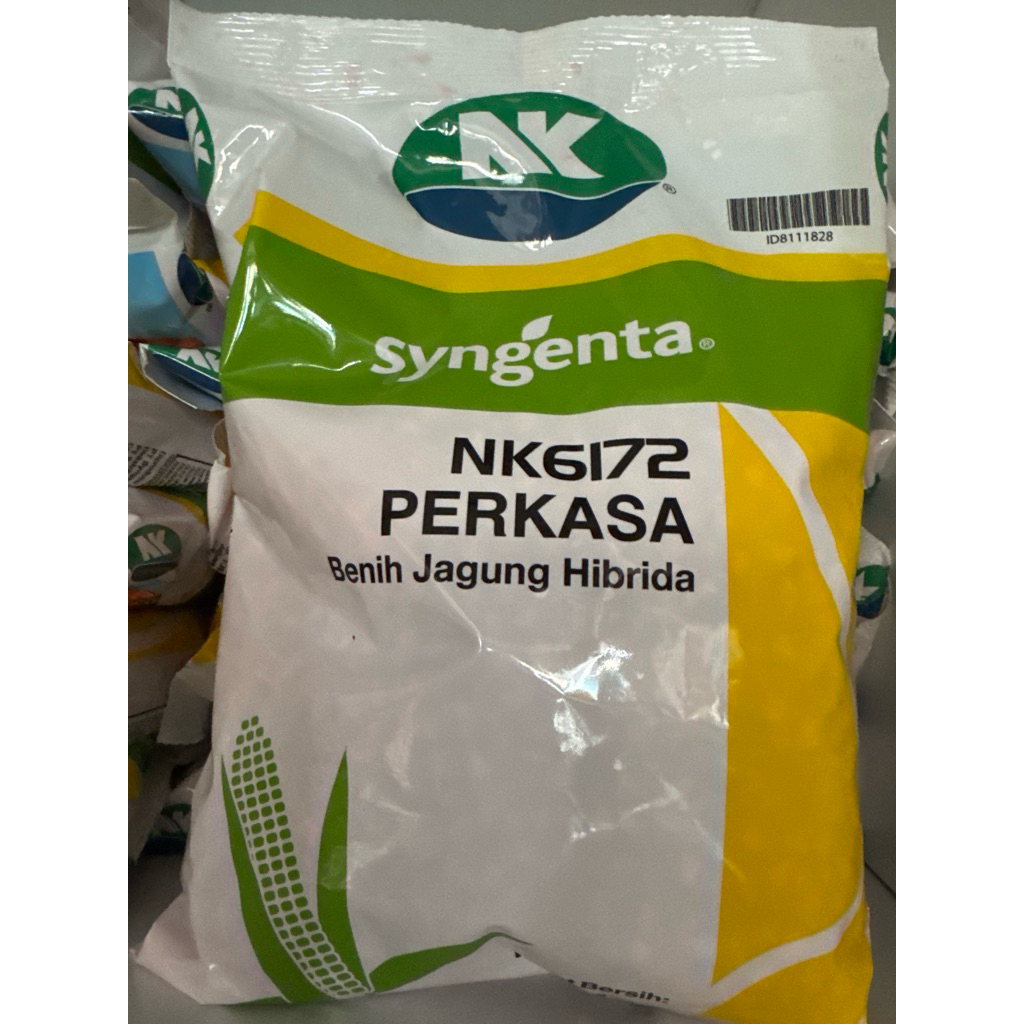 Benih Jagung Hibrida Syngenta NK Perkasa 1 kg