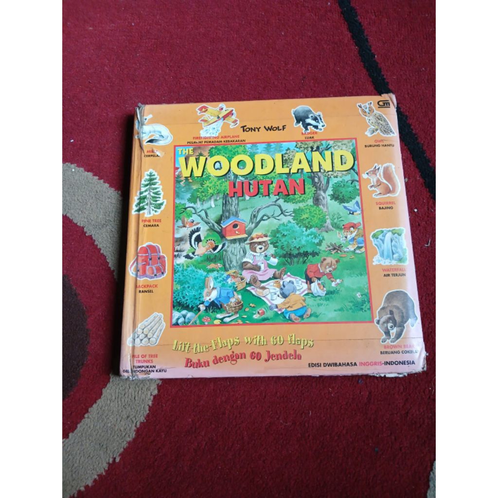 buku anak Tony wolf woodland