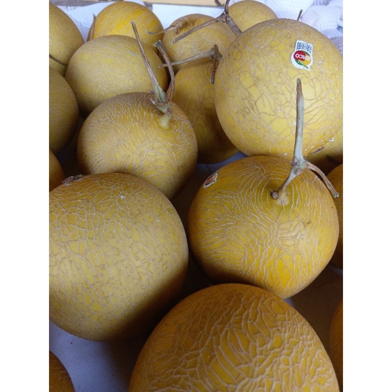 melon madu