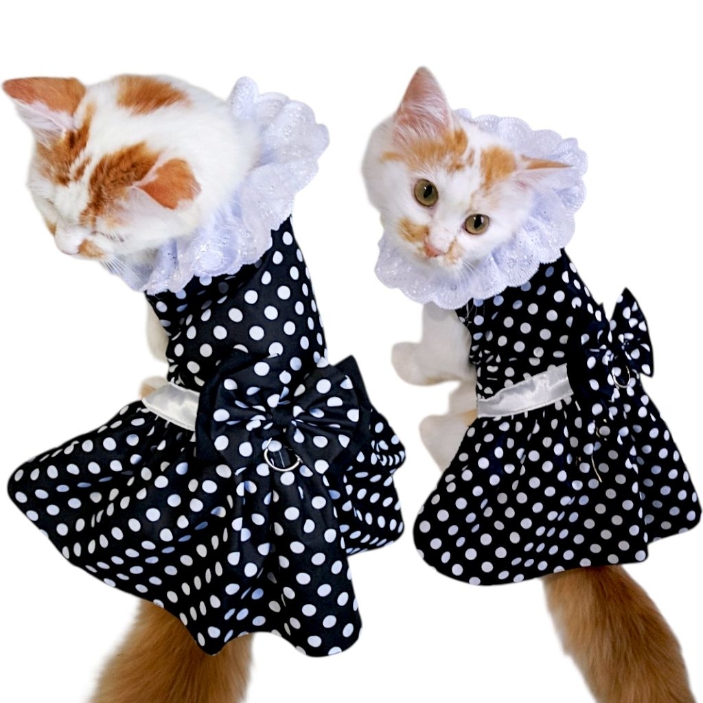 Migo Design Baju Dress Polkadot Hitam Kerah Ratu Renda Katun Putih untuk Anjing dan Kucing Peliharaa