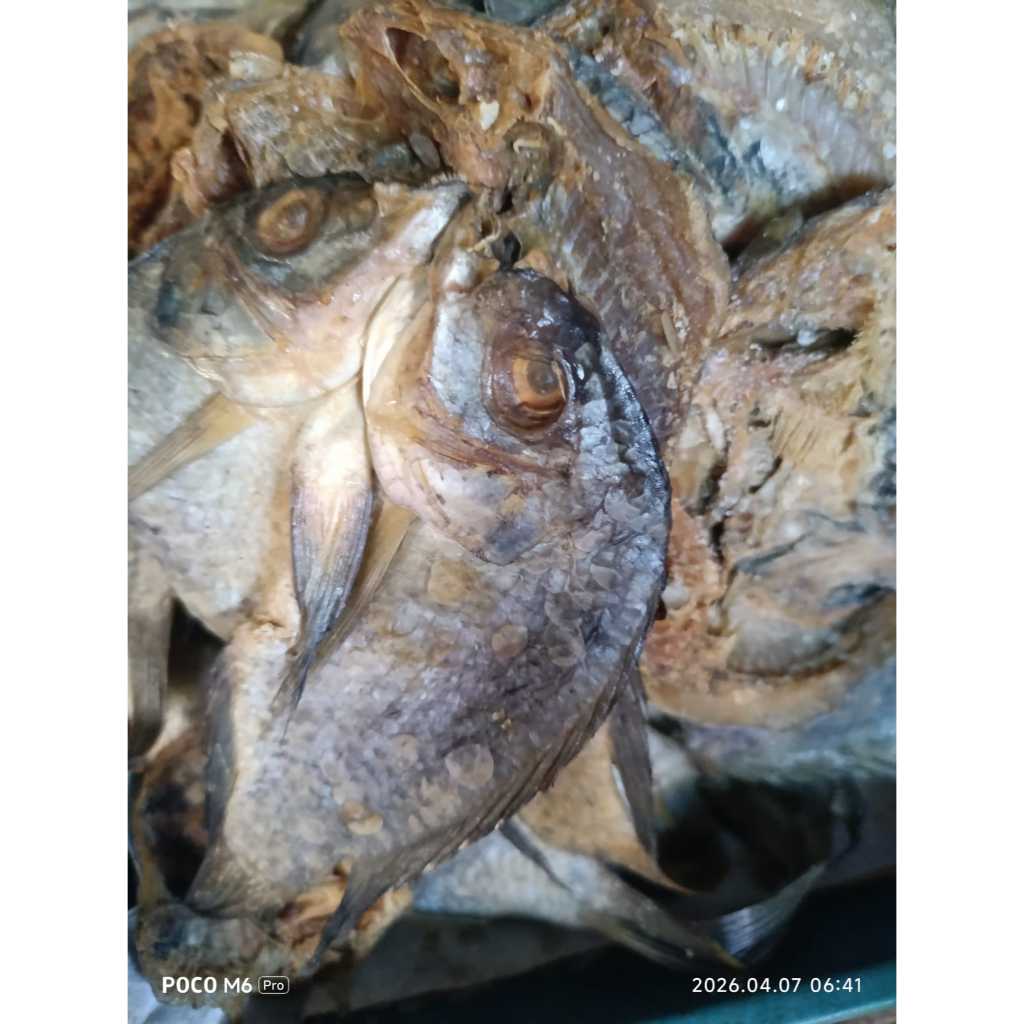 100g ikan asin mujair