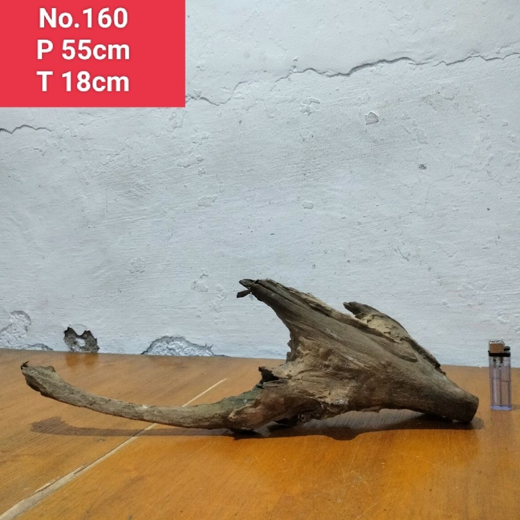 bonggol akar Rasamala akar aquascape aquarium 160