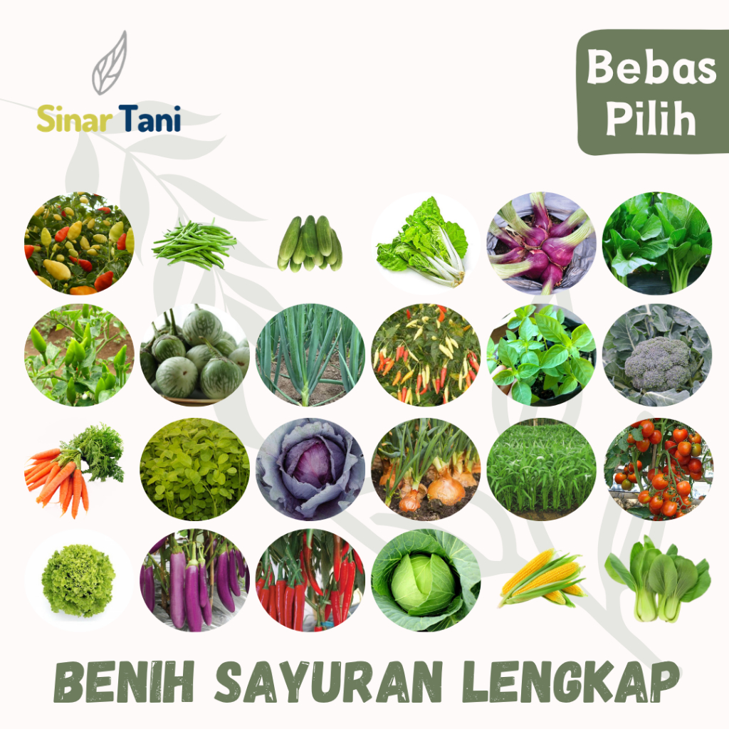 Benih Serba Seribu Aneka Bibit Tanaman Sayuran Lengkap Mudah Ditanam