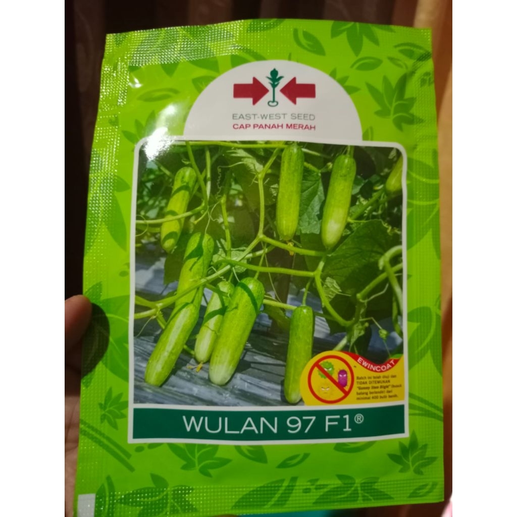 benih timun WULAN 97 F1 (800 butir)