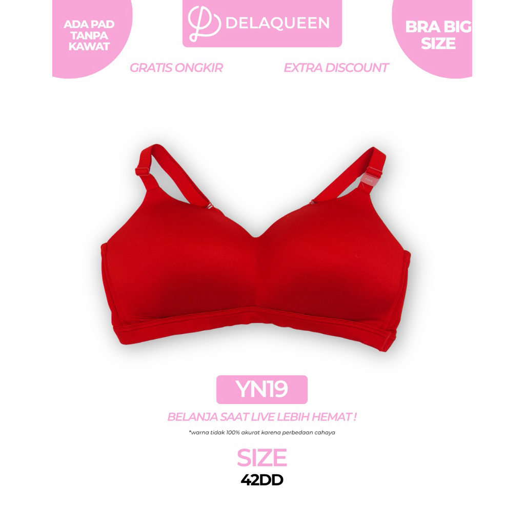 Delaqueen | Bra Big Size Bra Jumbo 42DD YN19