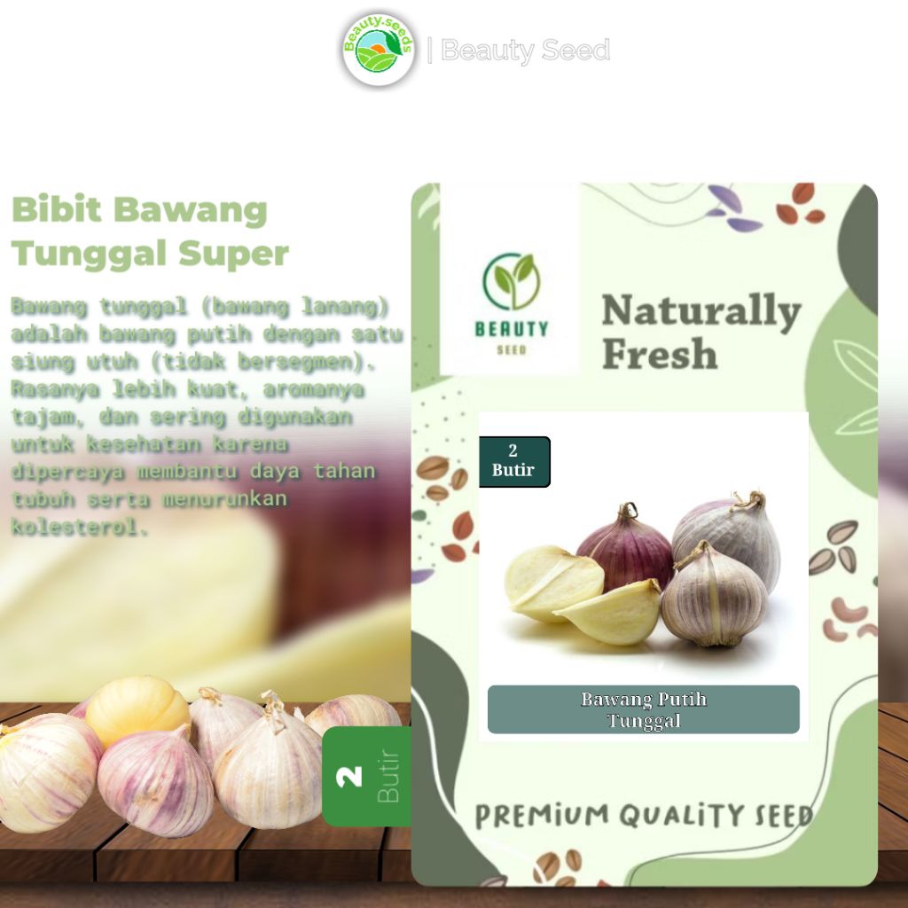 2 Butir Bawang Putih Tunggal Super - Bawang Putih Tunggal Lanang Original