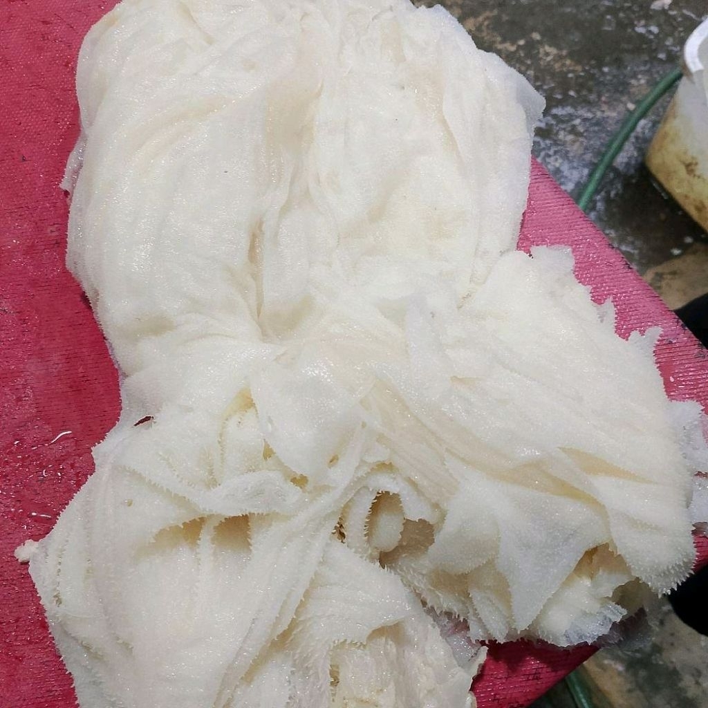 Babat Jarit Putih Sapi Lokal Fresh