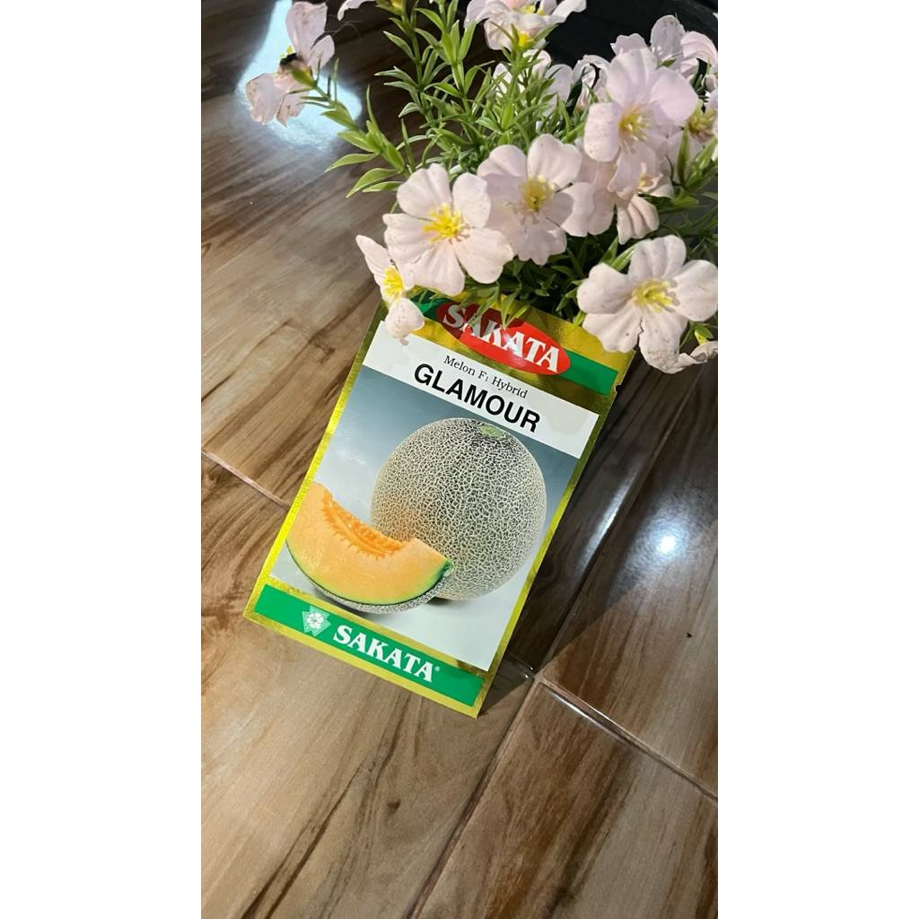 Benih Melon Sakata Glamour Original 100%