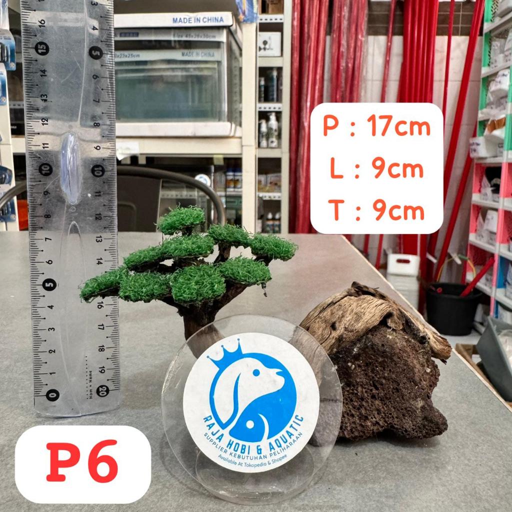 P6 KAYU BONSAI SANTIGI AQUASCAPE SIZE S DEKORASI HIASAN 17CM X 9CM X 9CM