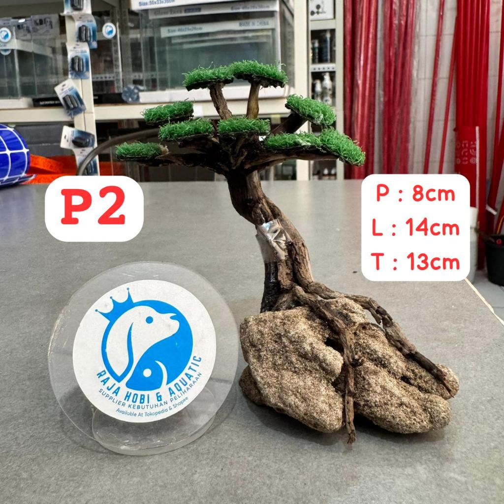 P2 KAYU BONSAI SANTIGI AQUASCAPE SIZE S DEKORASI HIASAN 8CM X 14CM X 13CM