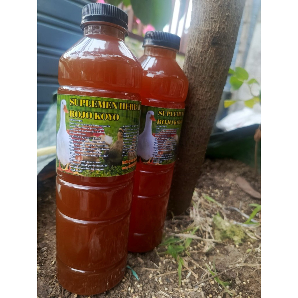 SUPLEMEN HERBAL ROJO KOYO
