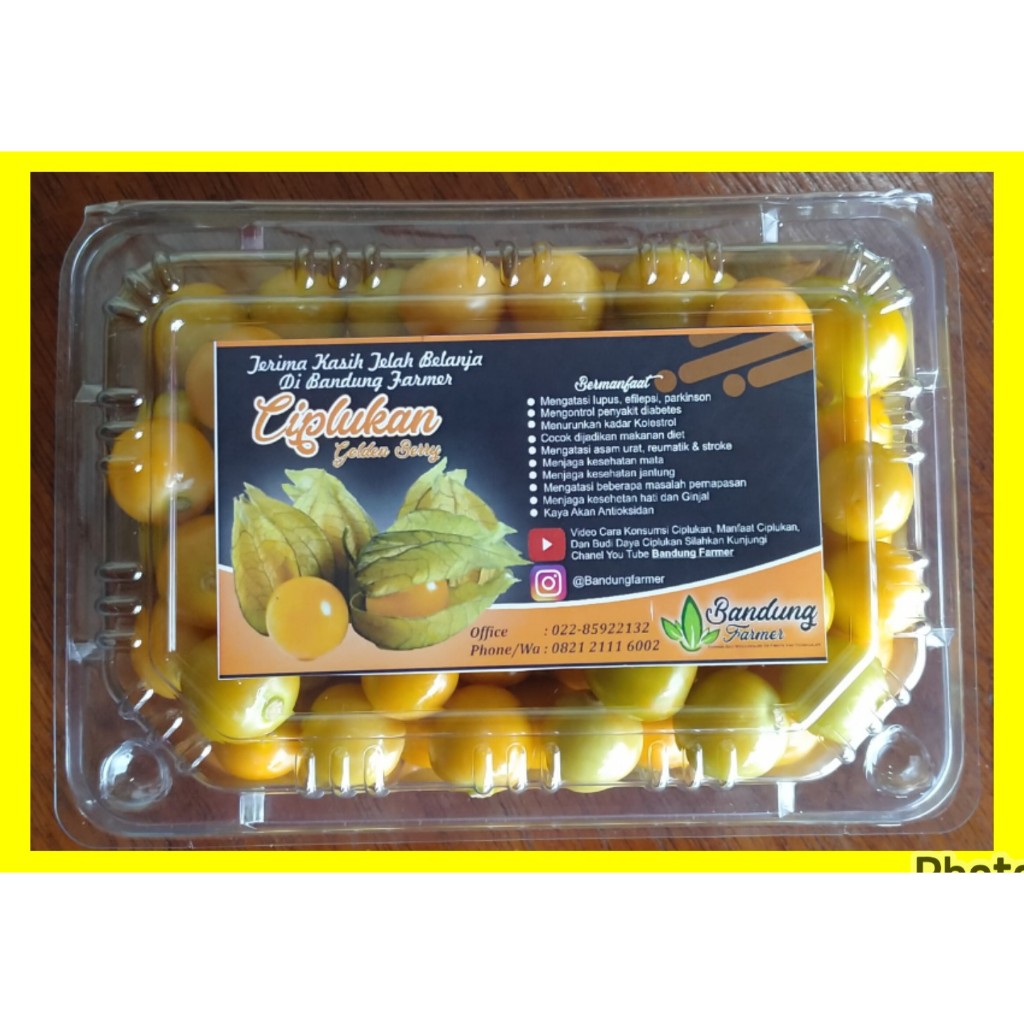BUAH CIPLUKAN SUDAH DI KUPAS 250 GRAM RASA MANIS ASEM