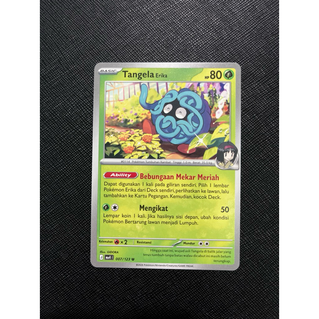 TANGELA Erika - MA4 007/123